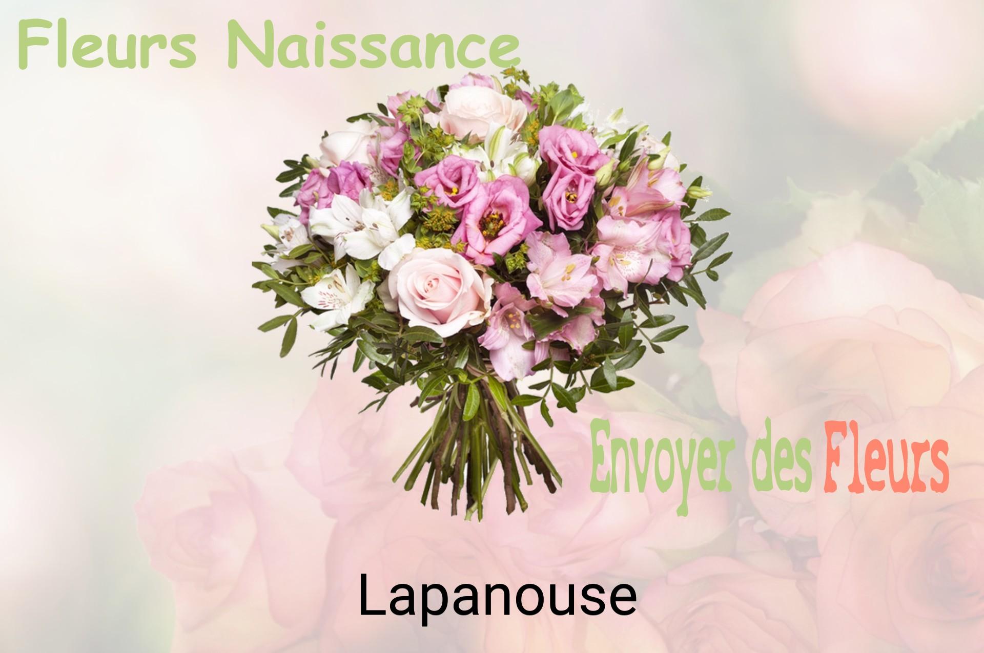 Bouquet de fleurs de naissance livré à Lapanouse